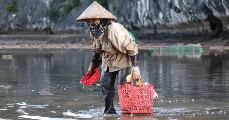 Setting boundaries working from home woman gathering shells on the river