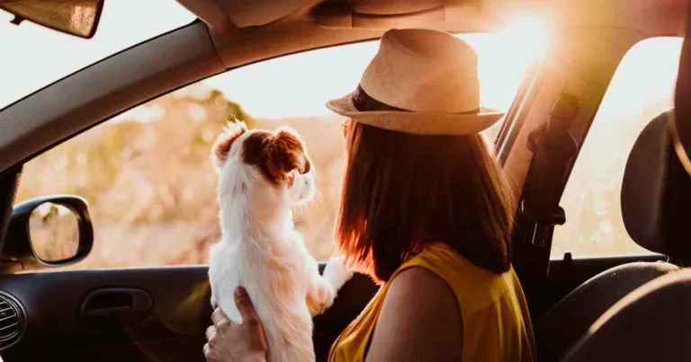 dog-and-its-owner-staring-outside-the-car-finding-bliss-in-simplicity